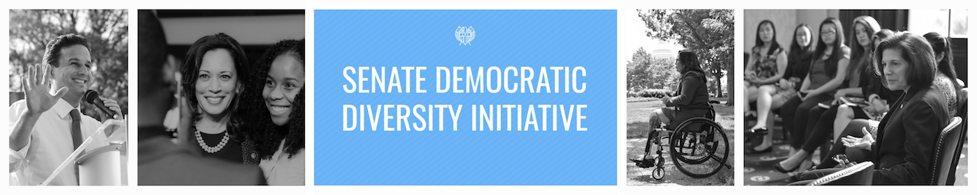 diversity initiative header